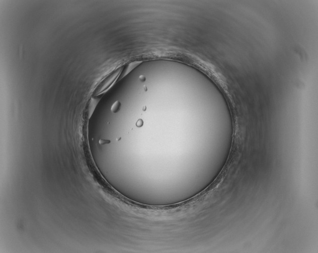 X0000112460010200908311338