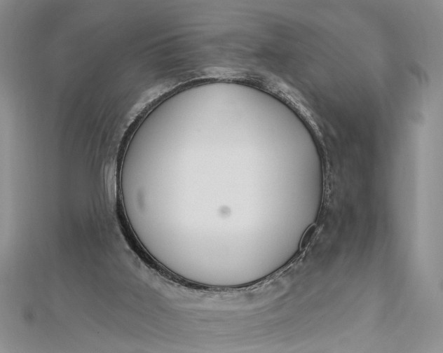 X0000112460011200908311338