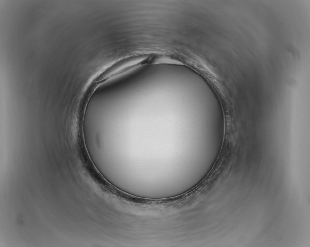 X0000112460012200908311338