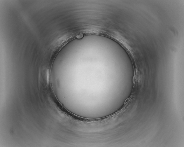 X0000112460013200908311338