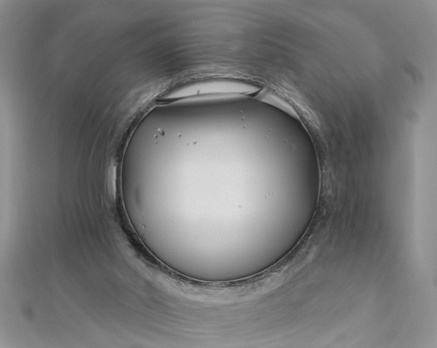 X0000112460014200908311338