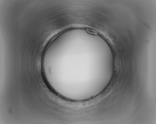 X0000112460015200908311338