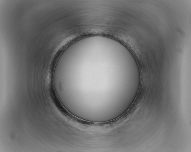 X0000112460016200908311338