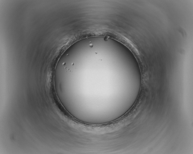 X0000112460018200908311338