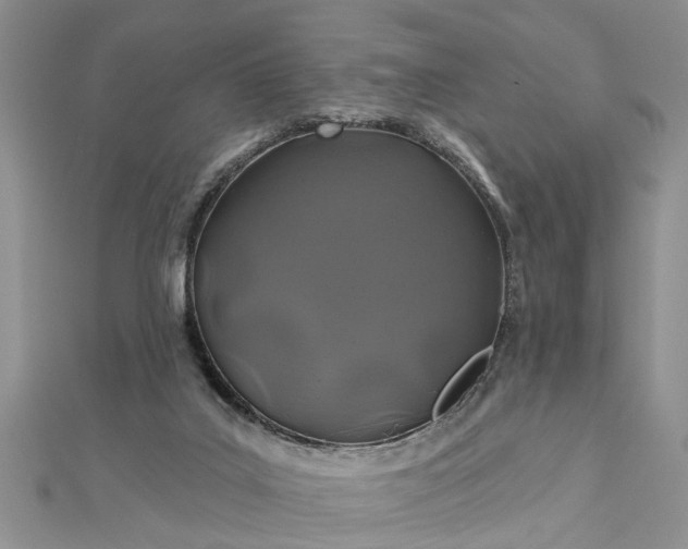 X0000112460019200908311338