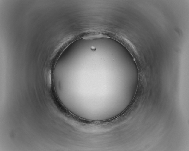 X0000112460020200908311338