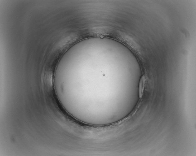 X0000112460021200908311338