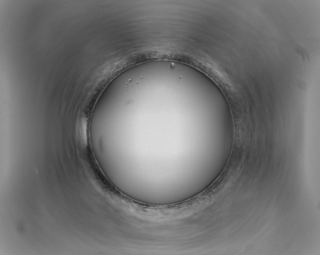 X0000112460022200908311338