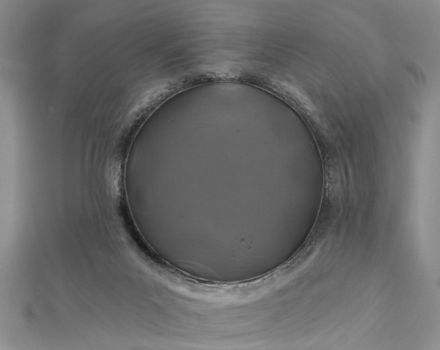 X0000112460023200908311338