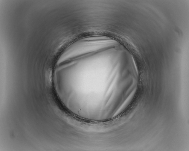 X0000112460024200908311338