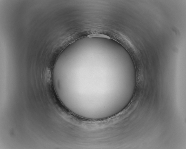 X0000112460025200908311338