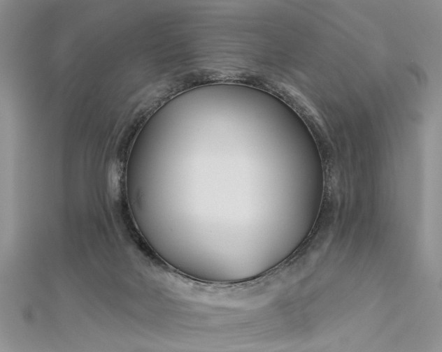 X0000112460026200908311338