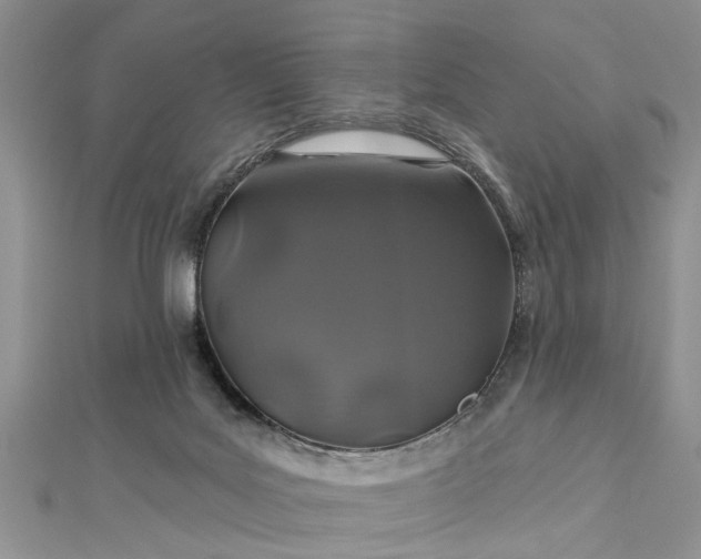 X0000112460027200908311338