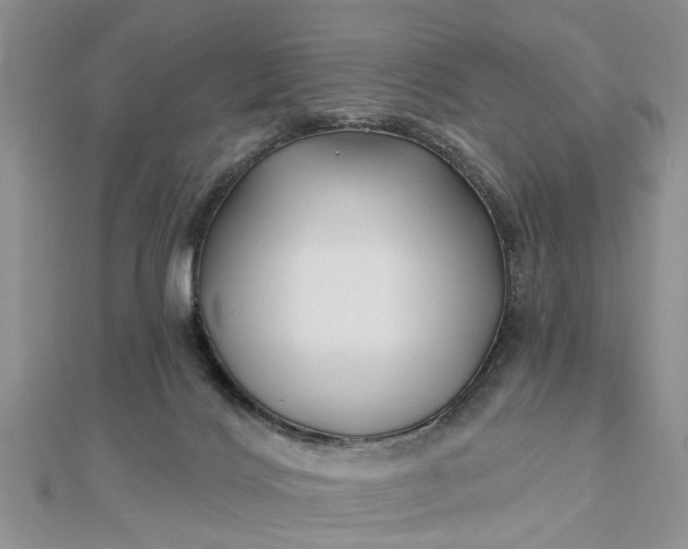 X0000112460028200908311338