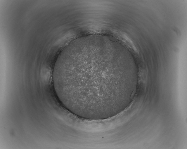 X0000112460029200908311338