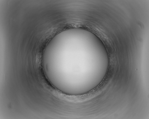 X0000112460030200908311338