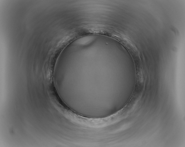 X0000112460031200908311338