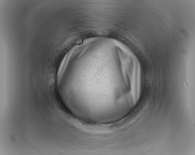 X0000112460032200908311338