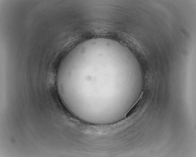 X0000112460033200908311338