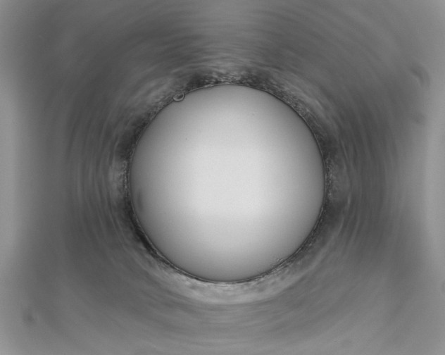 X0000112460034200908311338