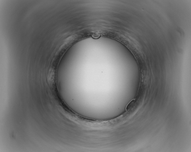 X0000112460036200908311338