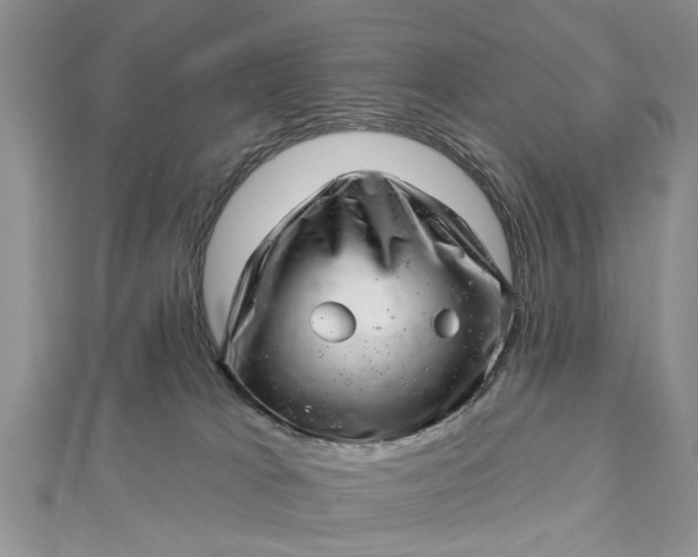 X0000112460037200908311338