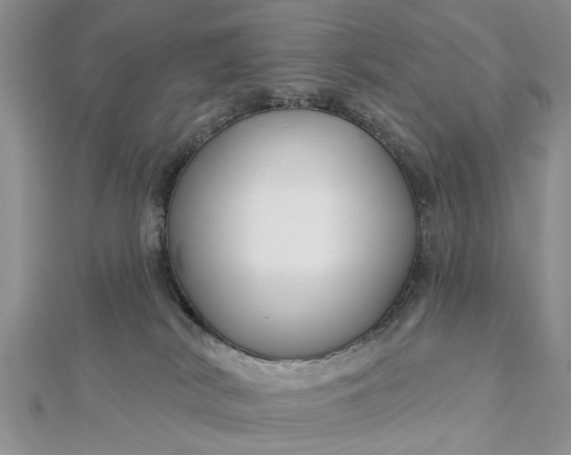 X0000112460038200908311338