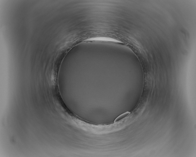 X0000112460039200908311338