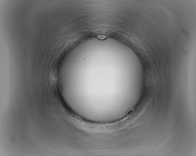 X0000112460040200908311338