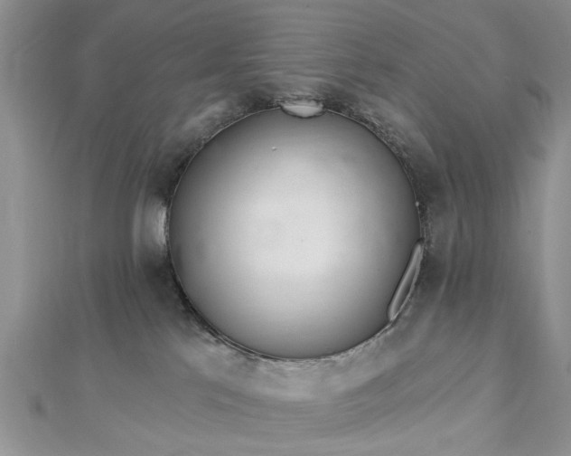 X0000112460041200908311338