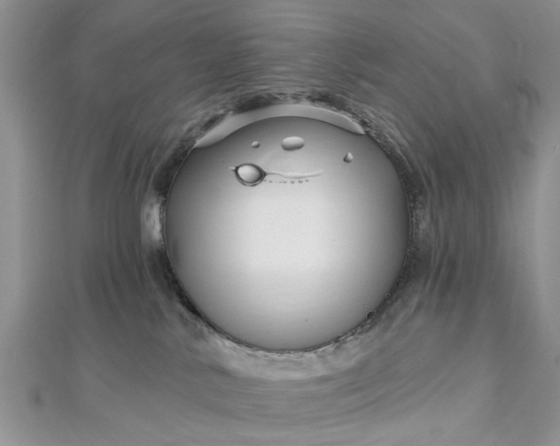 X0000112460042200908311338