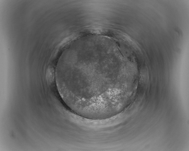 X0000112460043200908311338