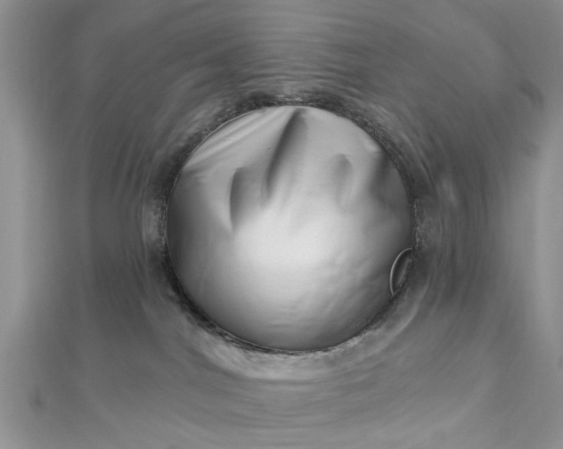 X0000112460044200908311338