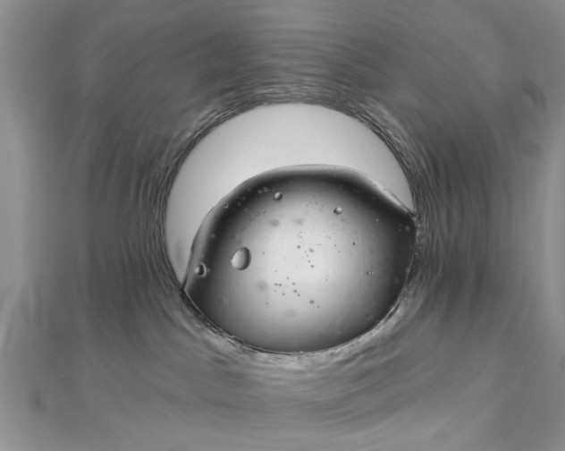 X0000112460045200908311338