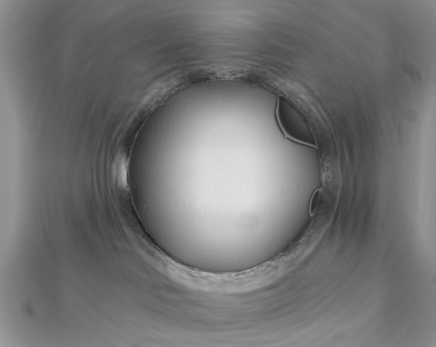 X0000112460046200908311338