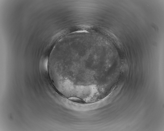 X0000112460047200908311338