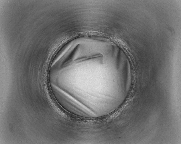 X0000112460049200908311337