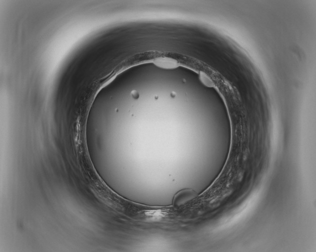 X0000112460050200908311337