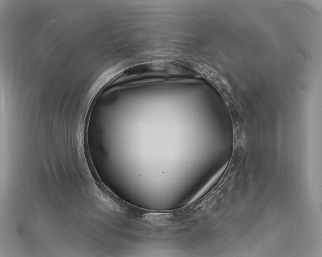 X0000112460051200908311337