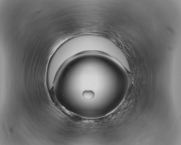 X0000112460052200908311337