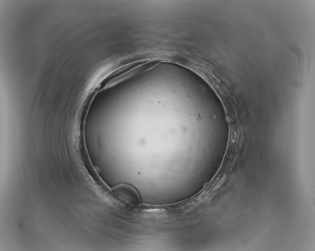 X0000112460053200908311337