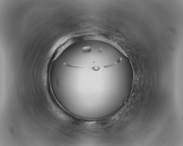 X0000112460054200908311337