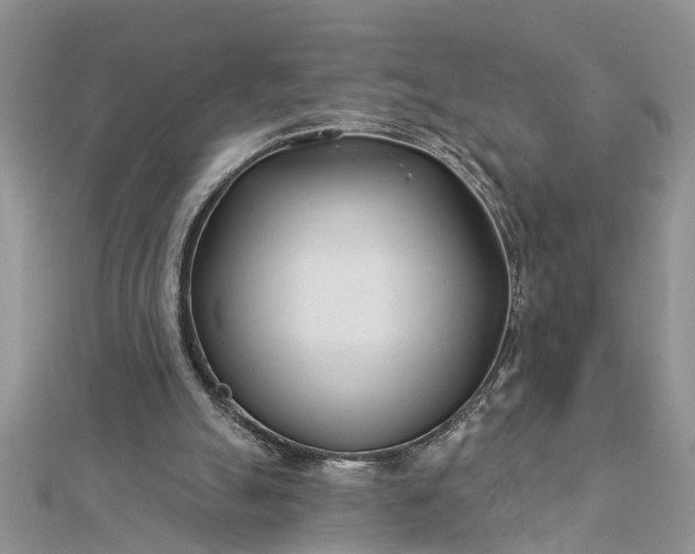 X0000112460055200908311337