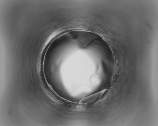 X0000112460056200908311337