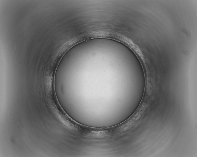 X0000112460057200908311337