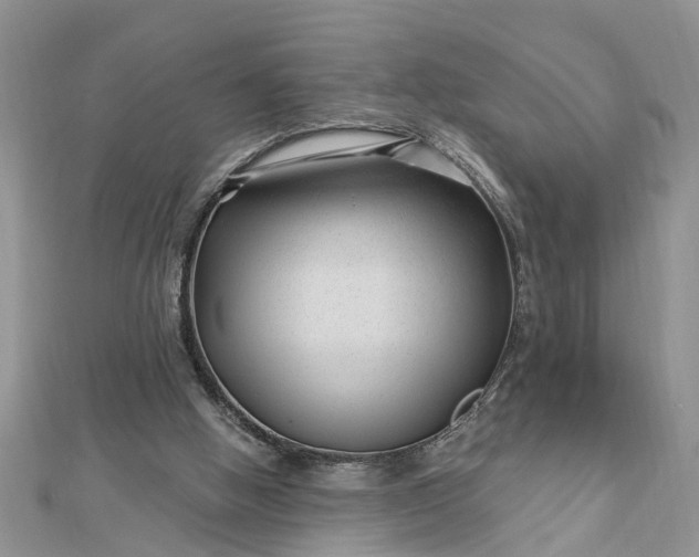 X0000112460058200908311337