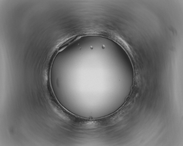 X0000112460059200908311337