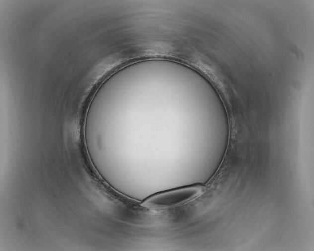 X0000112460060200908311337