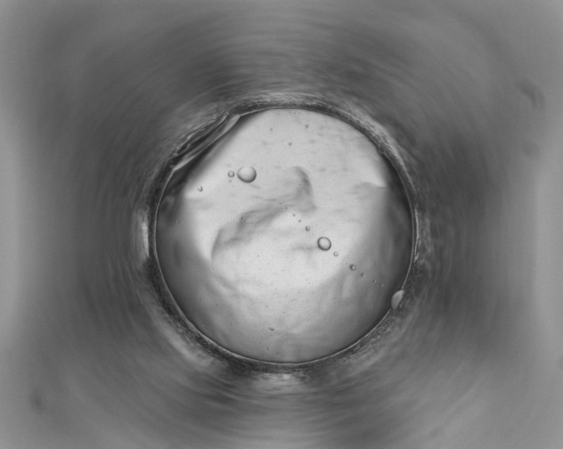 X0000112460061200908311337