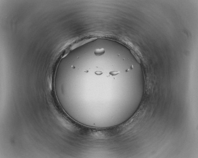 X0000112460062200908311337